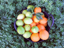 Cargar imagen en el visor de la galería, Mix de naranjas y limones