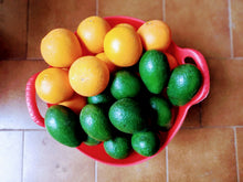 Cargar imagen en el visor de la galería, Mix de aguacates y naranjas premium