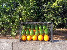 Cargar imagen en el visor de la galería, Mix de aguacates y naranjas premium