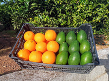 Cargar imagen en el visor de la galería, Mix de aguacates y naranjas premium
