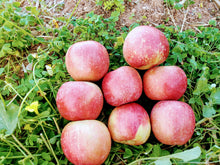 Cargar imagen en el visor de la galería, Mix de manzanas fuji y peras alejandrinas