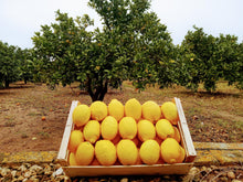 Cargar imagen en el visor de la galería, Limón natural