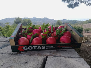 Granadas