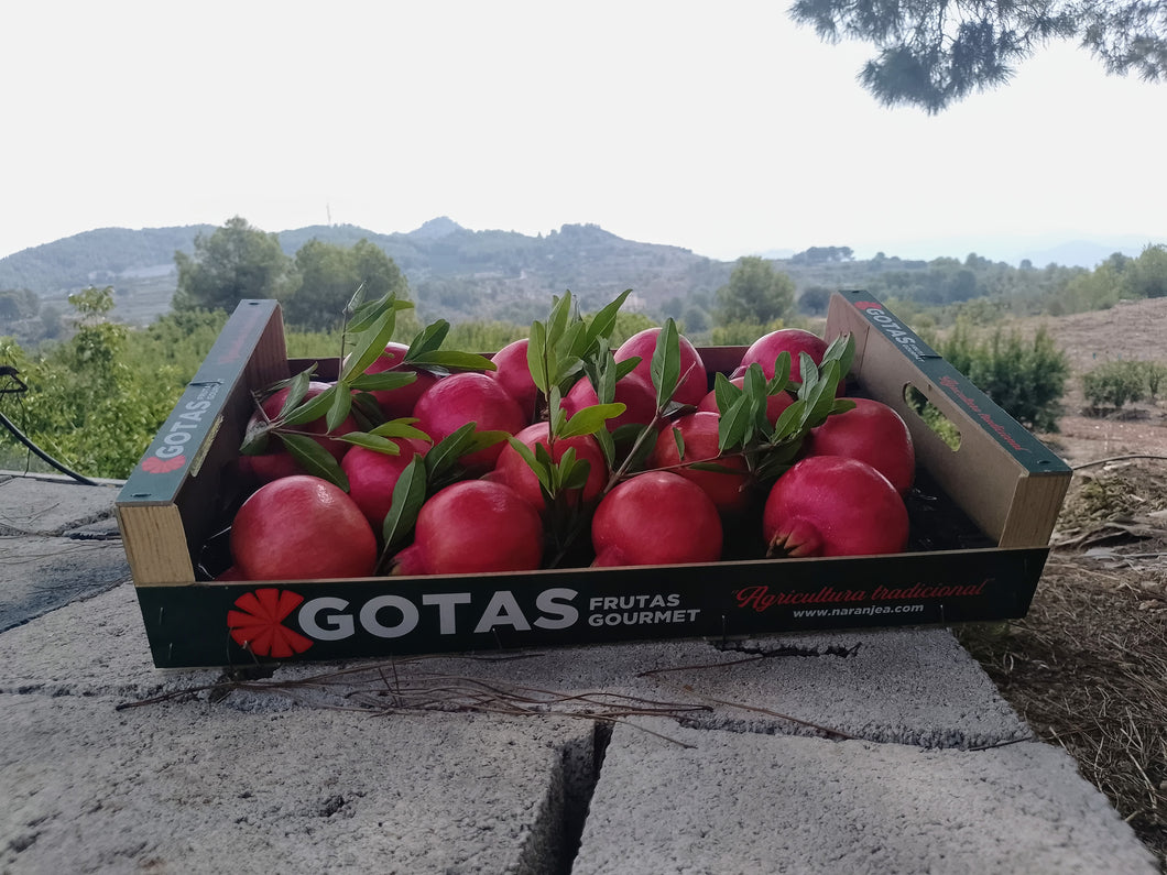 Granadas