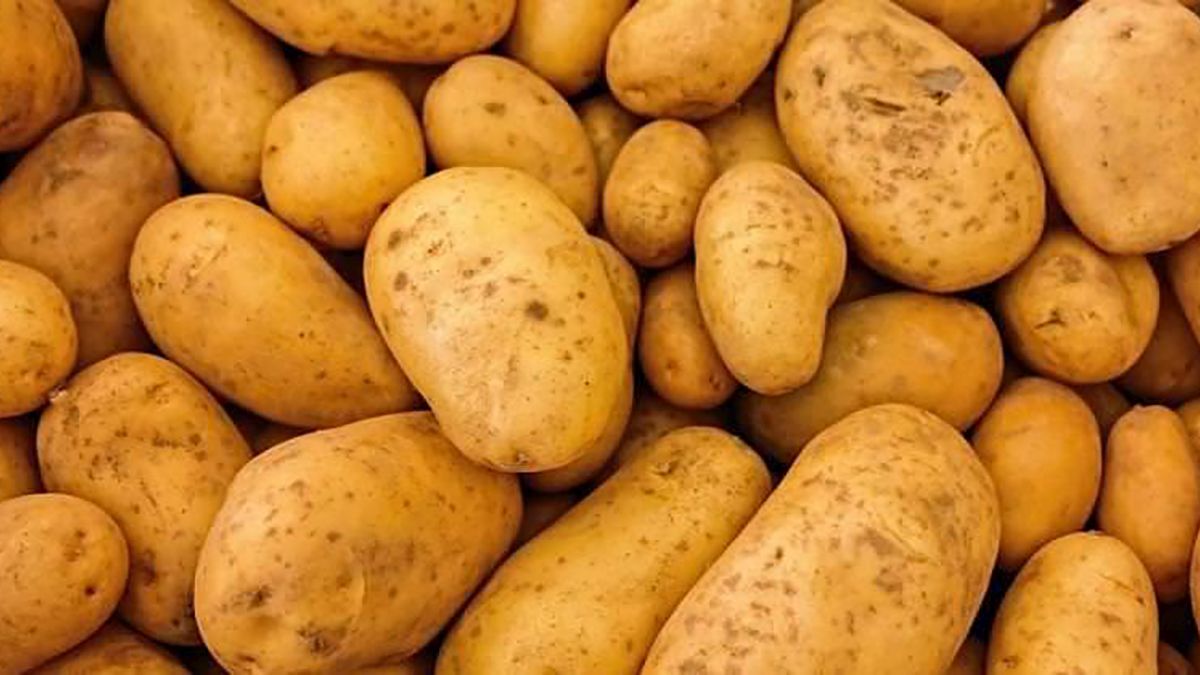 Sáltate la dieta y prepara así los huevos rotos con chistorra para que queden irresistibles 6 Merca2.es La importancia de los ingredientes