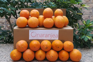 Naranjas de Mesa "Premium"