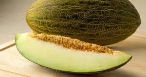 Melones piel de sapo